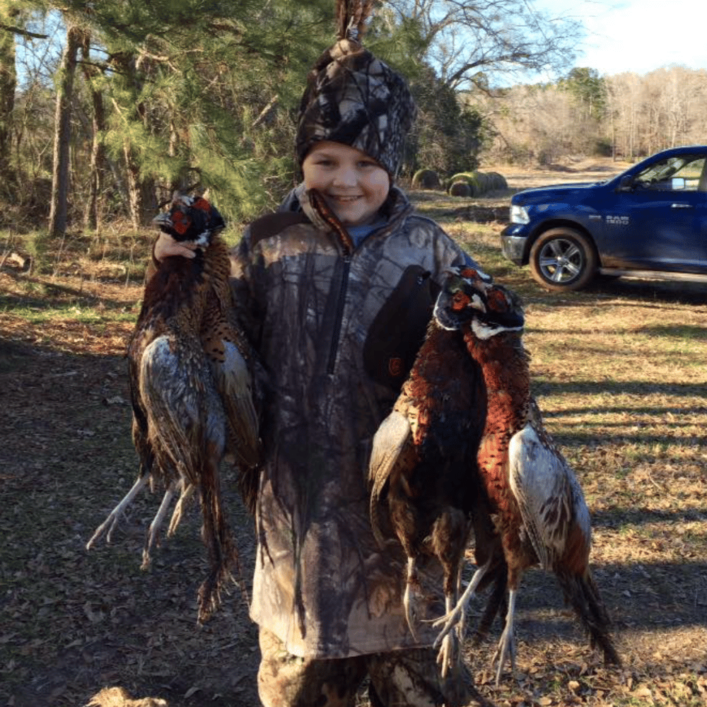 Pheasant Frenzy! In Gilmer