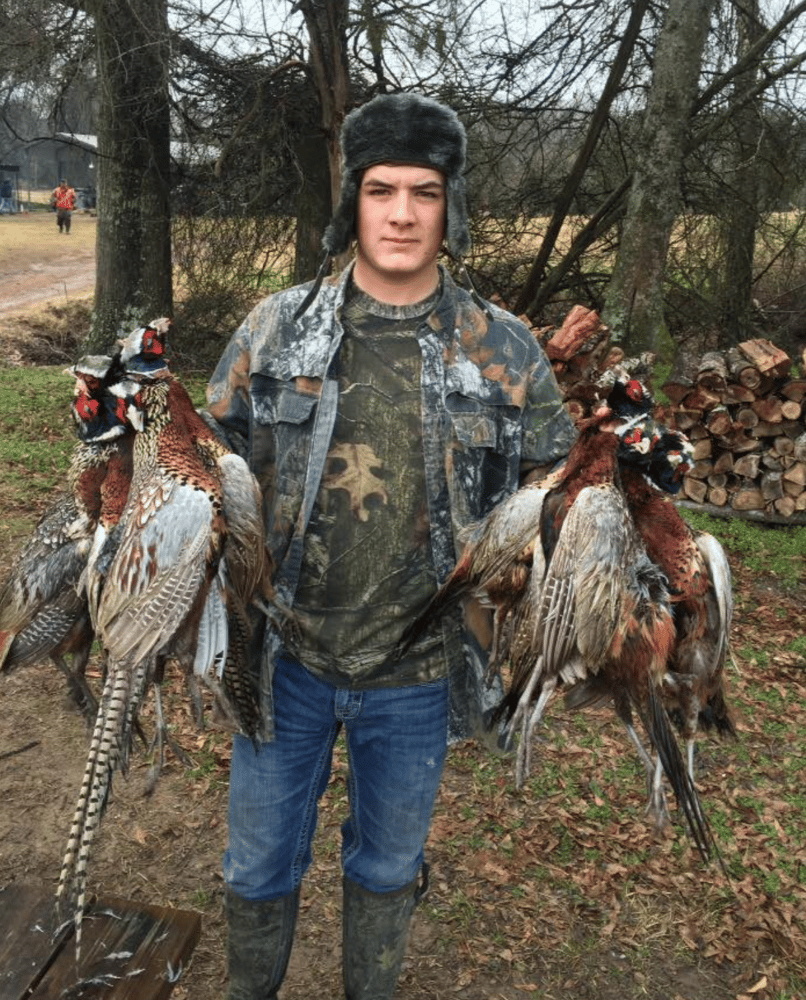 Pheasant Frenzy! In Gilmer