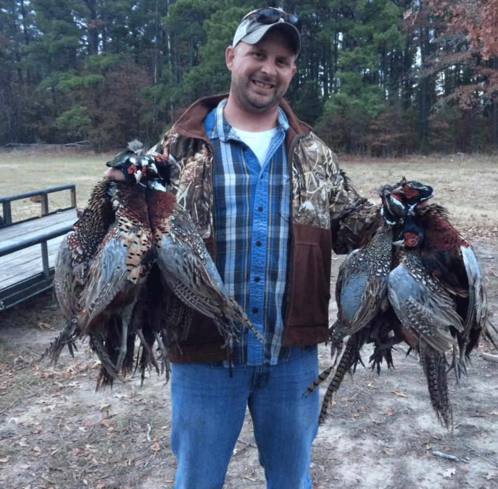 Pheasant Frenzy! In Gilmer