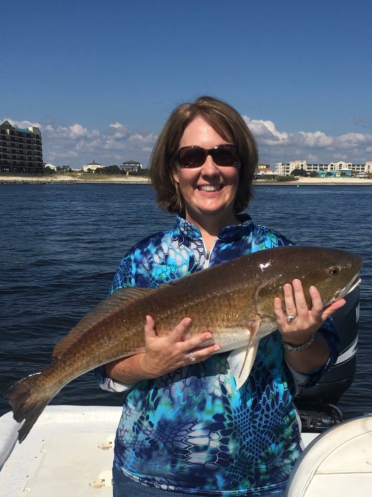 Inshore /Nearshore Hookup 4hrs In Orange Beach