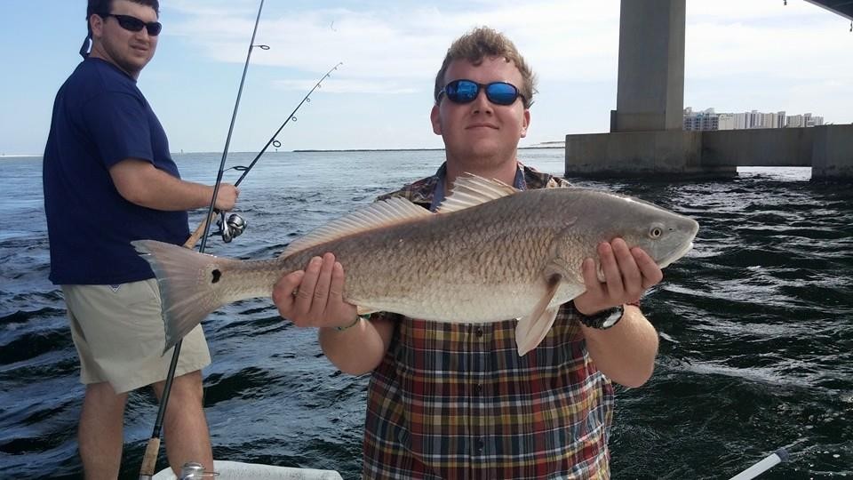 Inshore /Nearshore Hookup 4hrs In Orange Beach