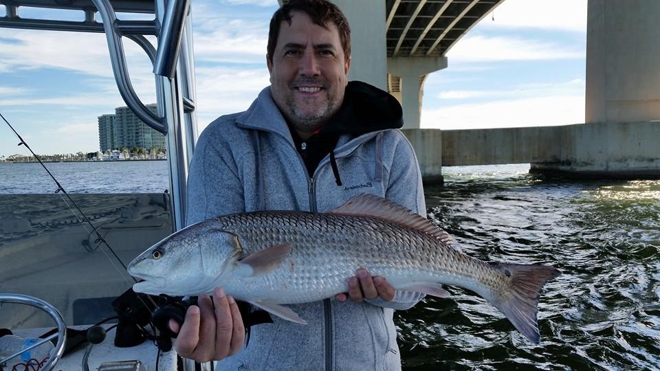 Inshore /Nearshore Hookup 4hrs In Orange Beach