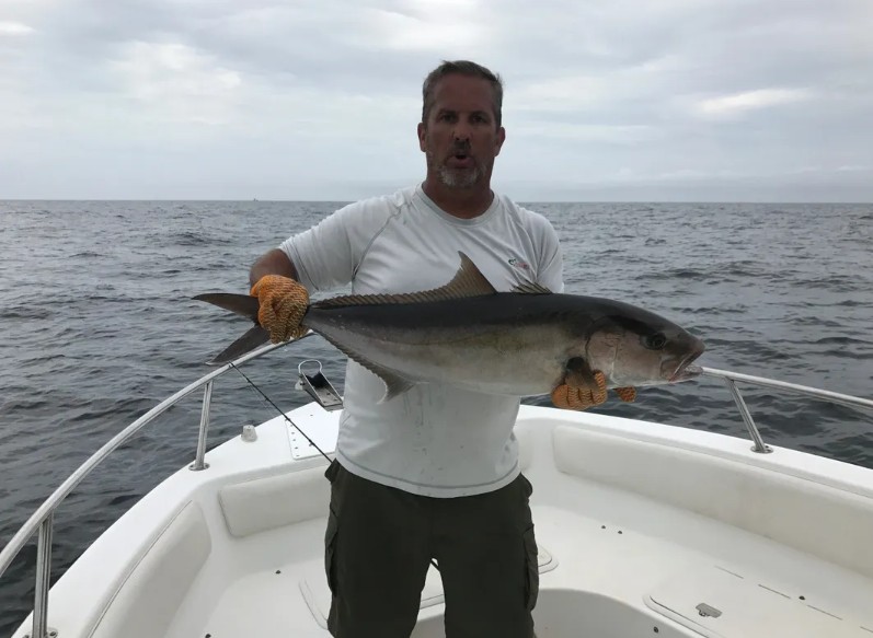 Offshore Adventure - 25' Sea Hunt In Orange Beach