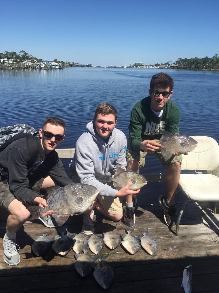 Orange Beach Snapper Slammer- 30' In Orange Beach