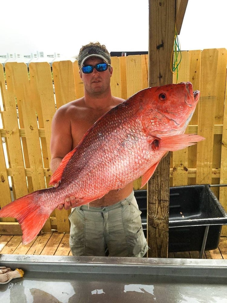 Orange Beach Bottomfishing Blast In Gulf Shores