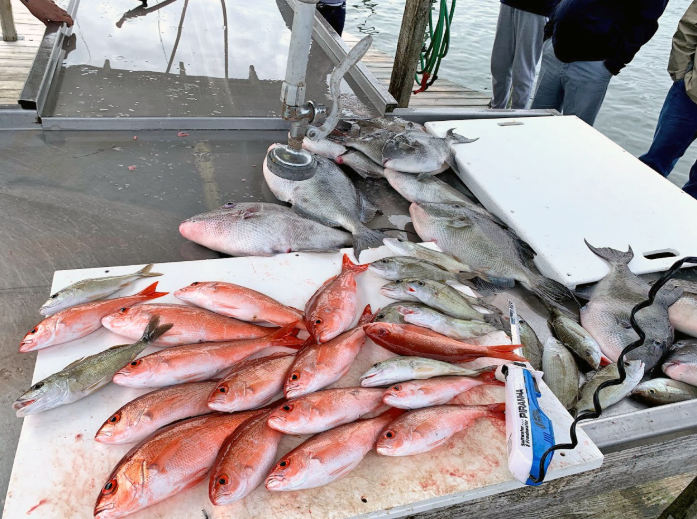 Orange Beach Bottomfishing Blast In Gulf Shores