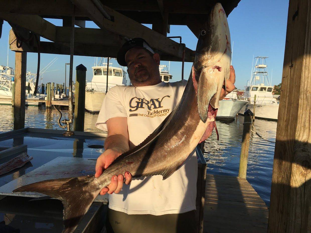 All Day Trolling/Bottom Fishing In Gulf Shores