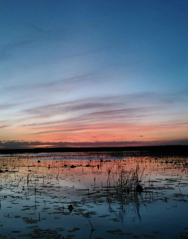 South Florida Duck Hunt Thriller In Okeechobee