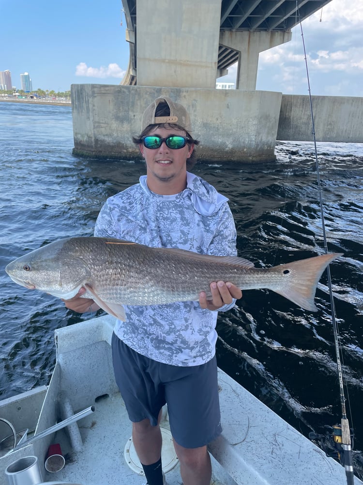 Inshore Bash In Orange Beach