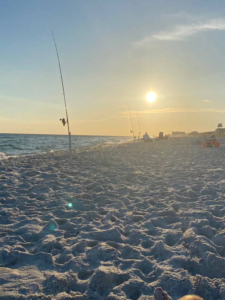 After Work/School Surf Fishing In Panama City Beach