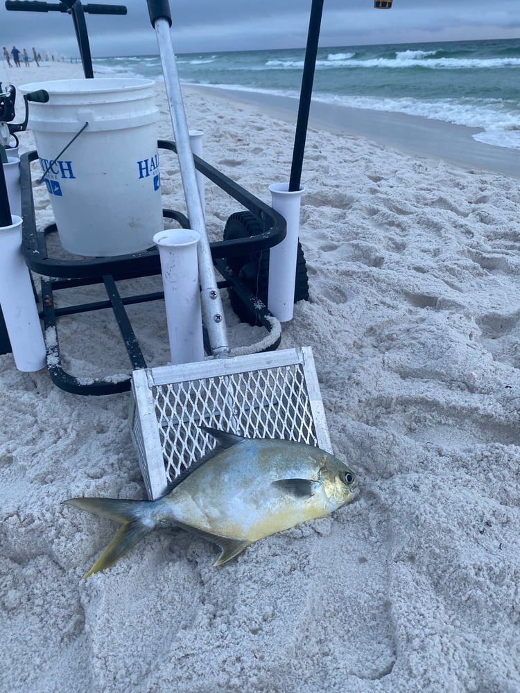 Surf Fishing In Panama City Beach