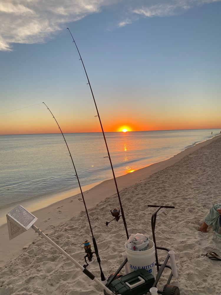 After Work/School Surf Fishing In Panama City Beach