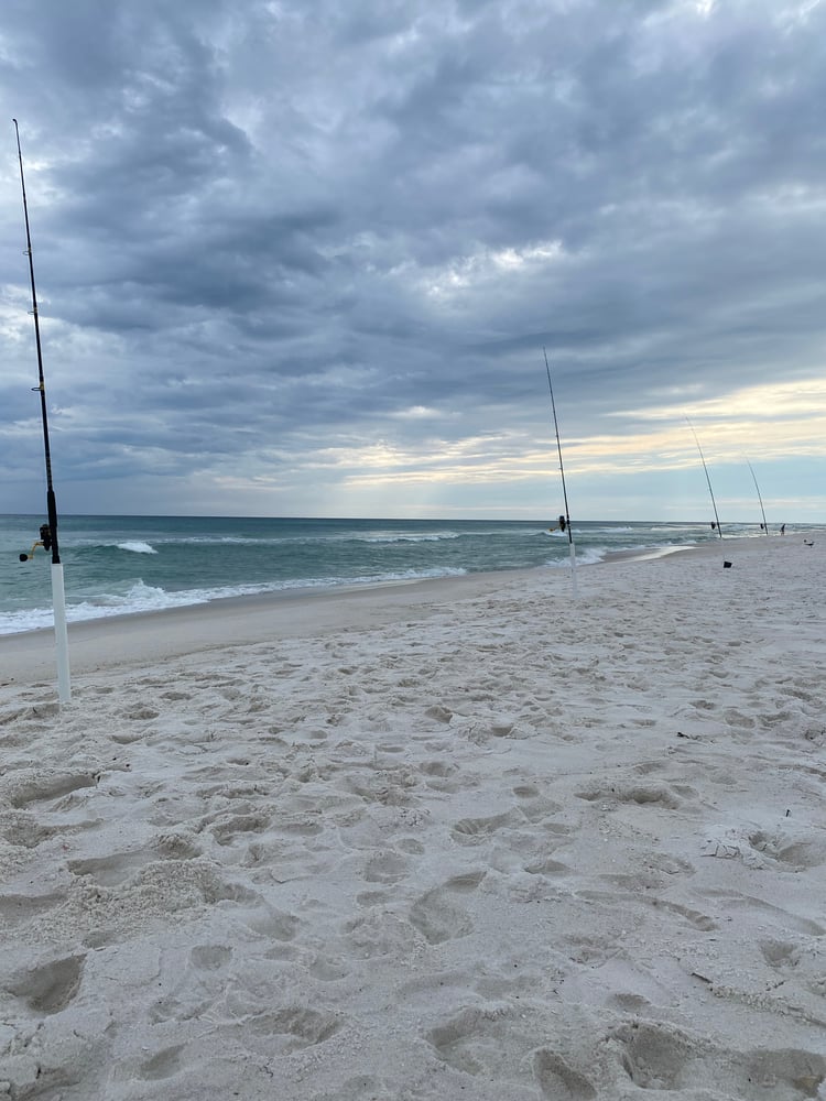 After Work/School Surf Fishing In Panama City Beach