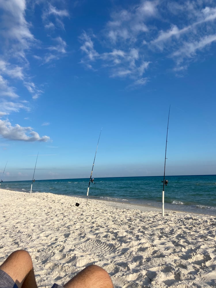 Surf Fishing In Panama City Beach