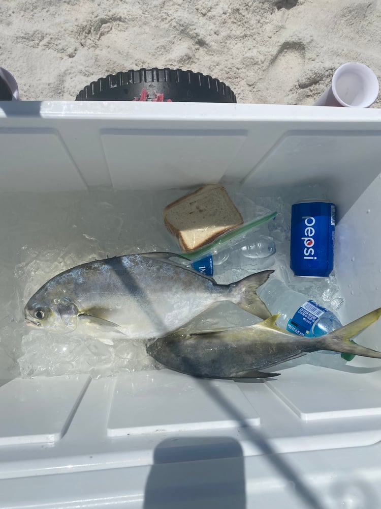 Surf Fishing In Panama City Beach