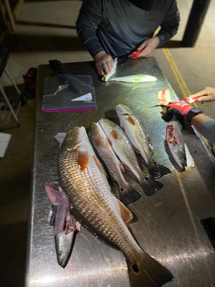 After Work/School Surf Fishing In Panama City Beach