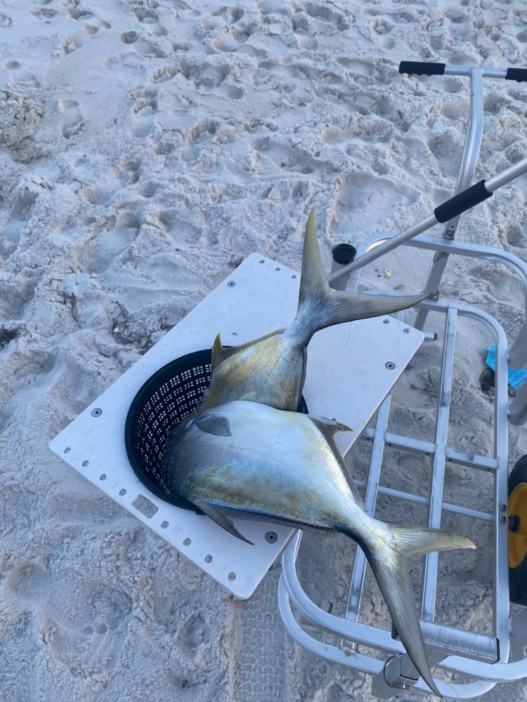 After Work/School Surf Fishing In Panama City Beach