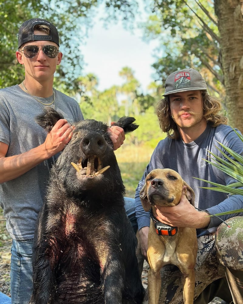 Florida Wild Boar Whack! In Okeechobee