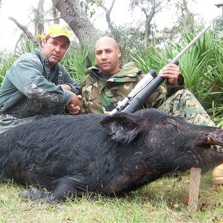 Wild Hog Whack- With Lodging In Okeechobee