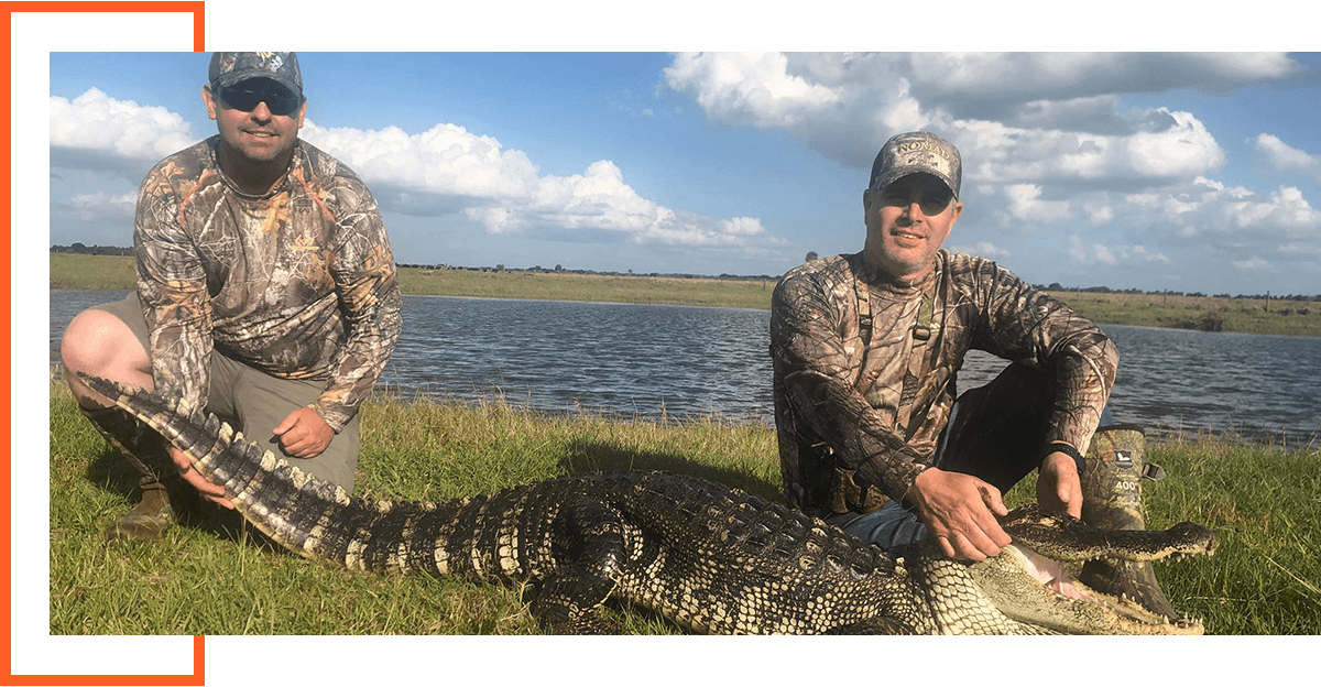 Florida Gator Takedown- 6' In Okeechobee