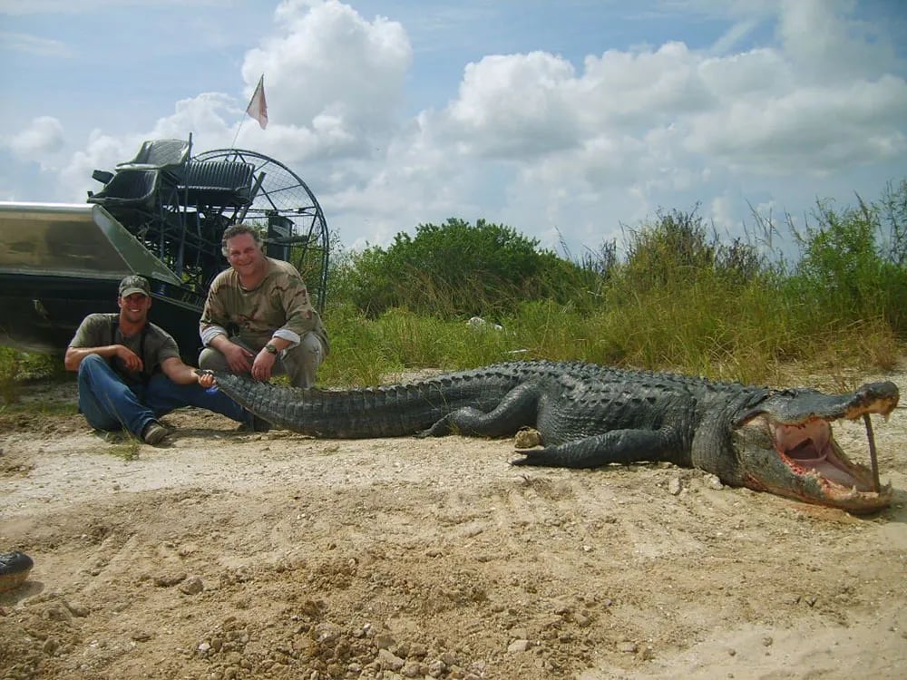 Florida Gator Takedown- 6' In Okeechobee