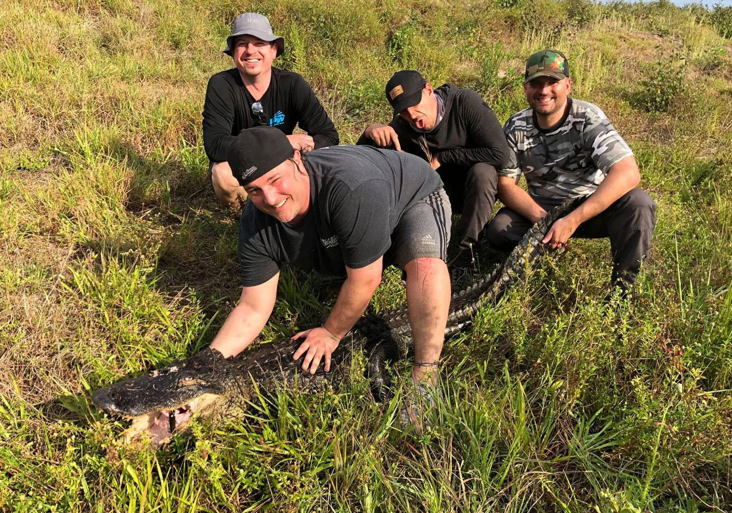 Florida Gator Takedown- 11' In Okeechobee