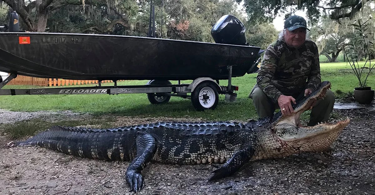 Florida Gator Takedown- 6' In Okeechobee