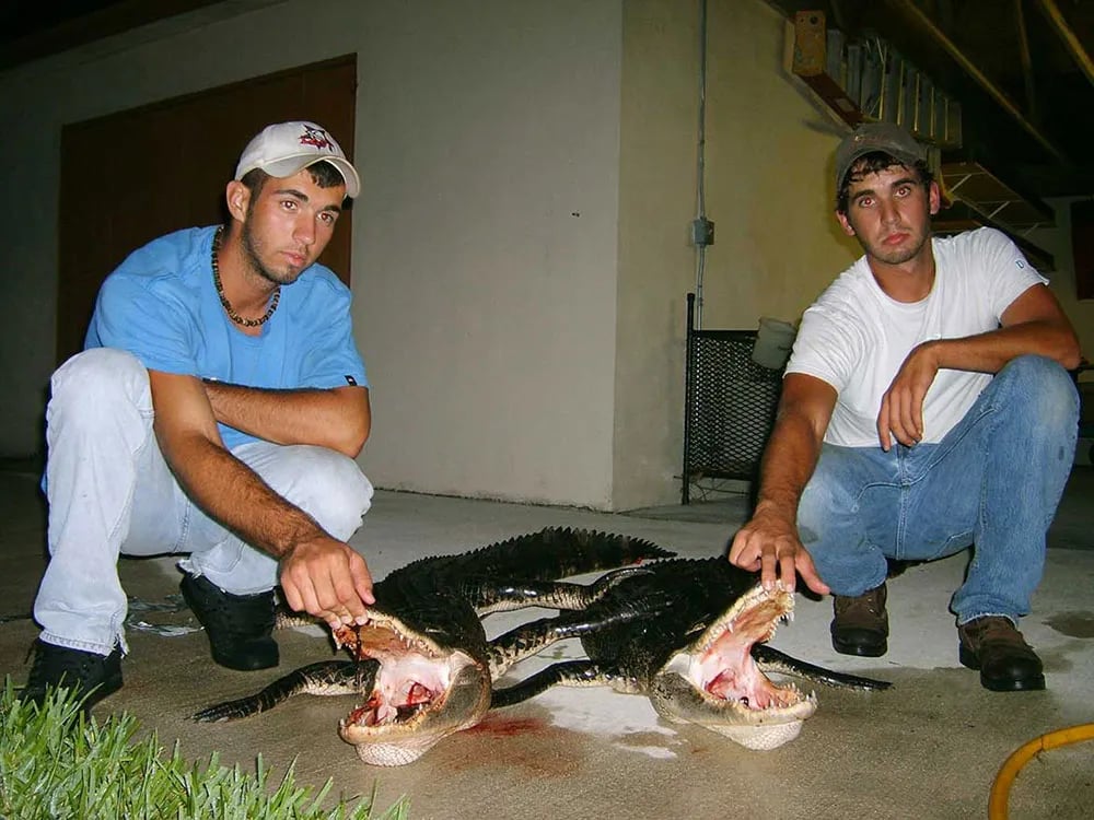 Florida Gator Takedown- 12' In Okeechobee