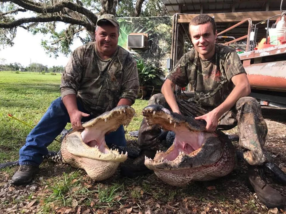 Florida Gator Takedown- 13'+ In Okeechobee