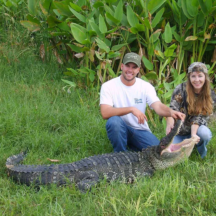 Florida Gator Takedown- 8' In Okeechobee