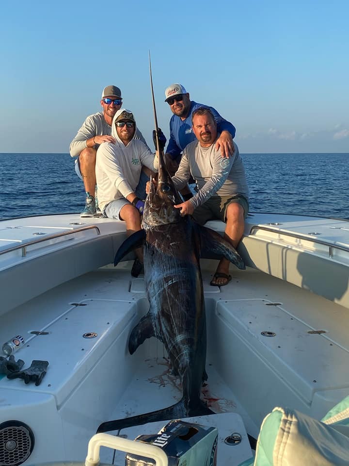 Orange Beach Swordfish Hunt In Orange Beach