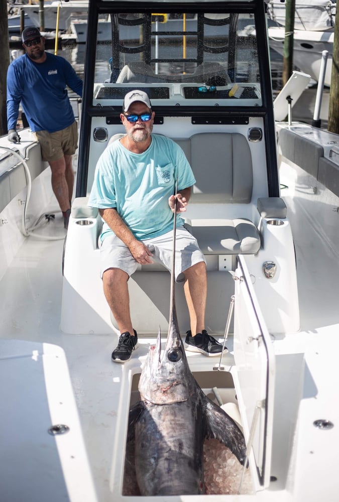 Orange Beach Swordfish Hunt In Orange Beach