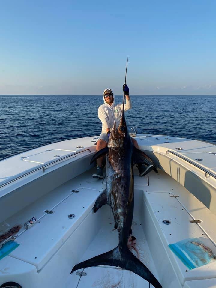 Orange Beach Swordfish Hunt In Orange Beach