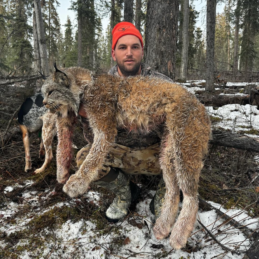 Thermal Coyote Thriller! In Okeechobee