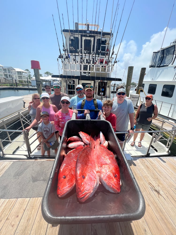 6 Hour AM Bottom Fishing & Trolling In Orange Beach