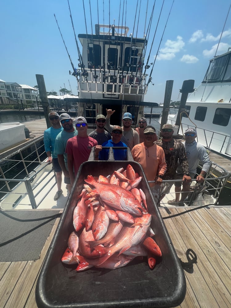 6 Hour AM Bottom Fishing & Trolling In Orange Beach