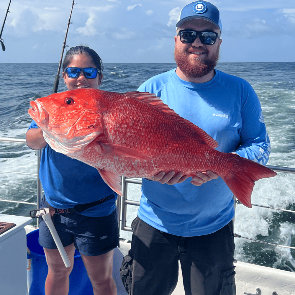 6 Hour AM Bottom Fishing & Trolling In Orange Beach