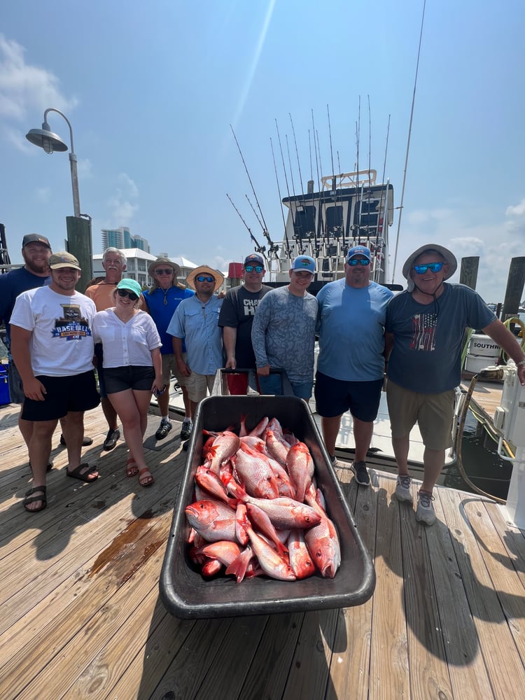 6 Hour AM Bottom Fishing & Trolling In Orange Beach