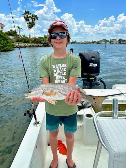 Tampa Bay Flats, Mangroves & Bay In Apollo Beach