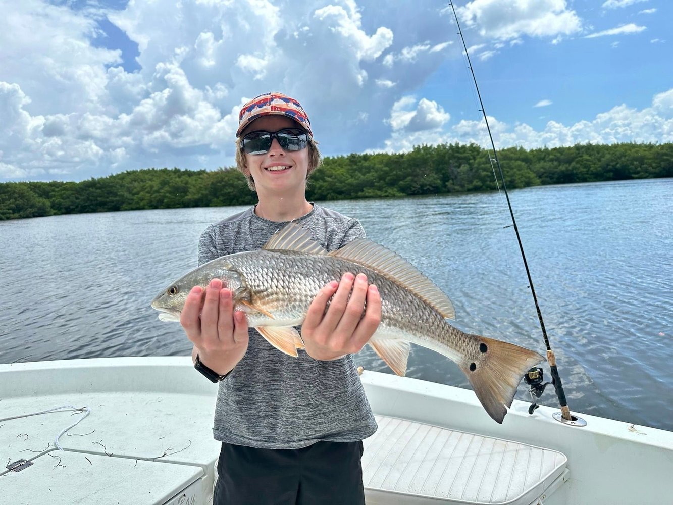 Tampa Bay Flats, Mangroves & Bay In Apollo Beach