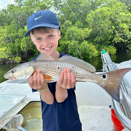 Tampa Bay Flats, Mangroves & Bay In Apollo Beach