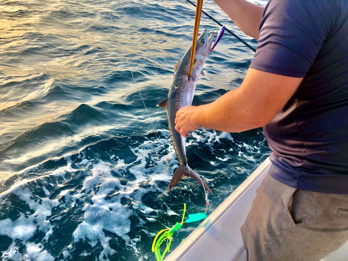 6 Hour Offshore Reef & Wreck Fishing In Port Aransas