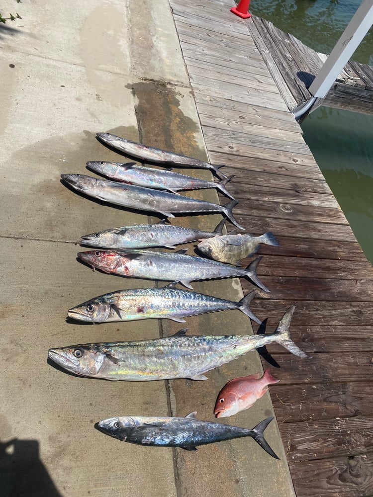 State Water Reef / Shrimp Boat / Rigs In Port Aransas