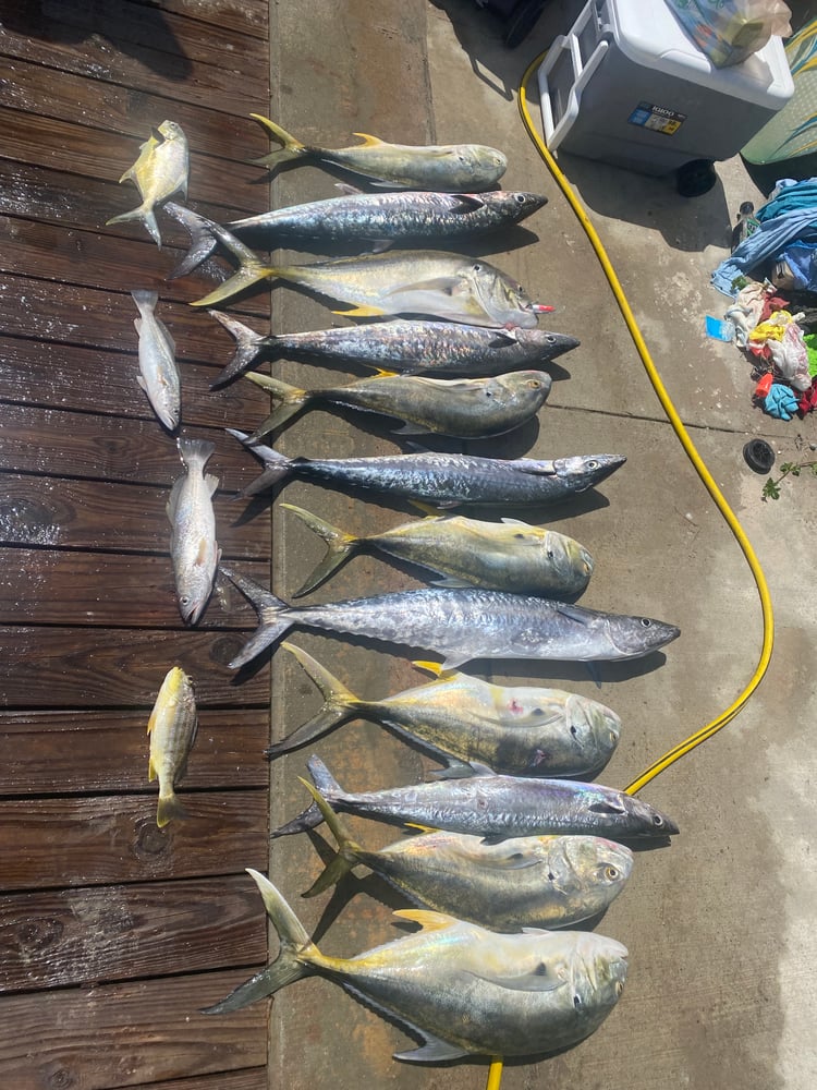 State Water Reef / Shrimp Boat / Rigs In Port Aransas