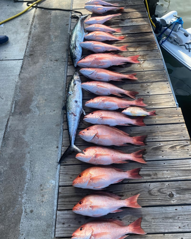 6 Hour Offshore Reef & Wreck Fishing In Port Aransas