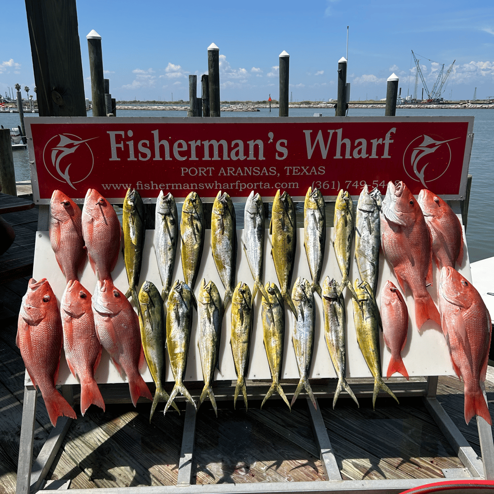 6 Hour Offshore Reef & Wreck Fishing In Port Aransas