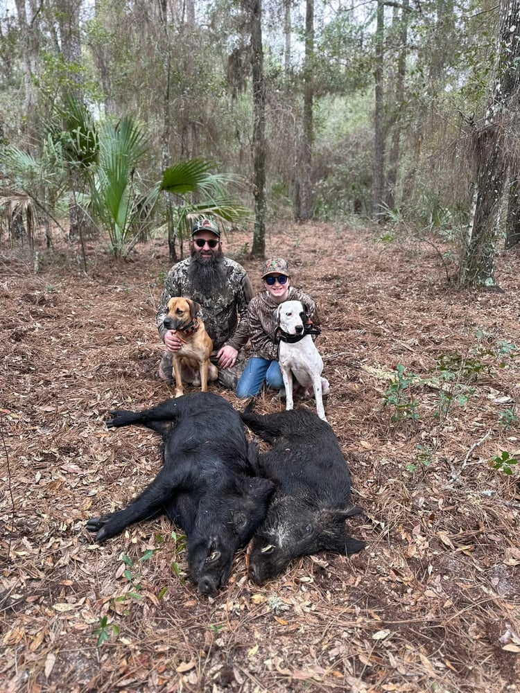 Thermal Hog Hunt In Fort McCoy