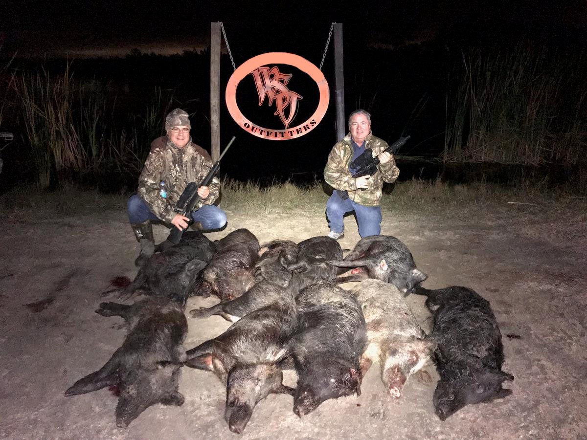 Thermal Hog Hunt In Fort McCoy