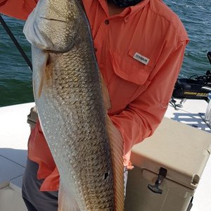 Redfish Trips In San Antonio