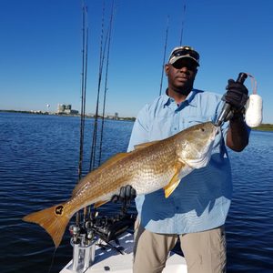 Redfish Trips In San Antonio